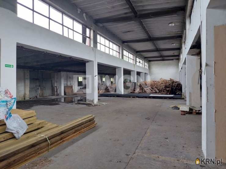 Lokal użytkowy  do wynajęcia, , Przemków, ul. 