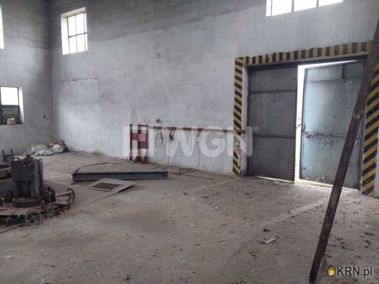 Przemków, ul. , Lokal użytkowy  do wynajęcia, 