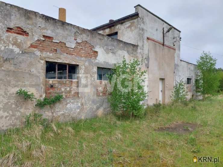 , Lokal użytkowy  do wynajęcia, Przemków, ul. 