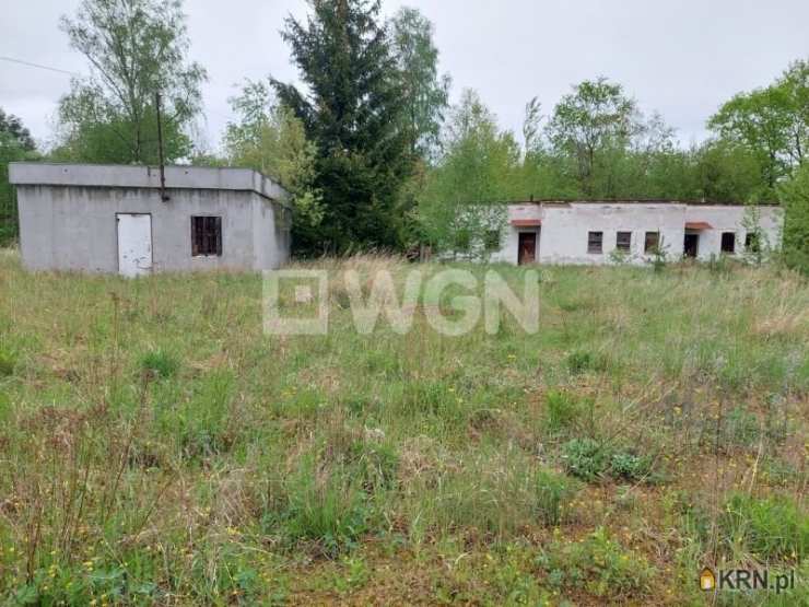 Lokal użytkowy  do wynajęcia, , Przemków, ul. 