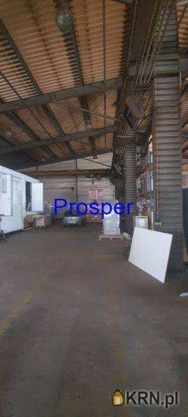 Lokal użytkowy  do wynajęcia, , Mikołów, ul. 