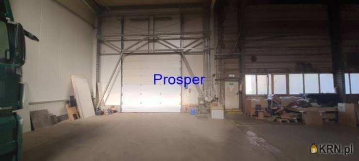 Mikołów, ul. , Lokal użytkowy  do wynajęcia, 