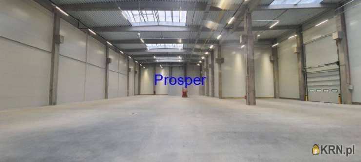 Lokal użytkowy  do wynajęcia, , Zabrze, ul. 