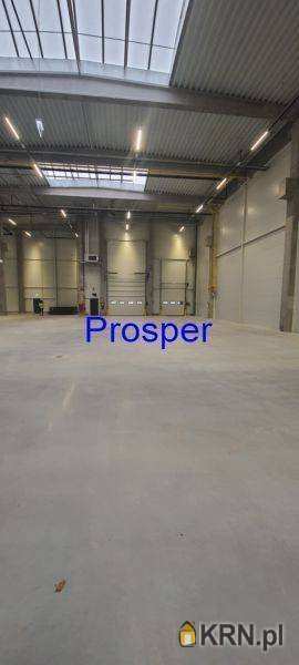 Zabrze, ul. , Lokal użytkowy  do wynajęcia, 