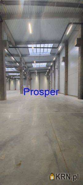 Zabrze, ul. , , Lokal użytkowy  do wynajęcia