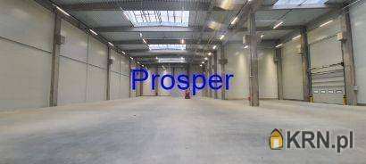 , Zabrze, ul. , Lokal użytkowy  do wynajęcia