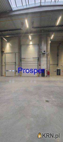 Prosper - Nieruchomości, Lokal użytkowy  do wynajęcia, Zabrze, ul. 