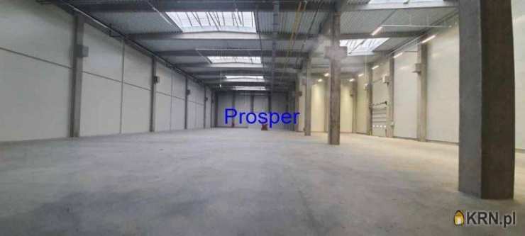 Lokal użytkowy  do wynajęcia, Zabrze, ul. , 