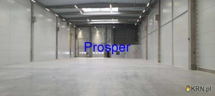 Lokal użytkowy  do wynajęcia, Zabrze, ul. , 