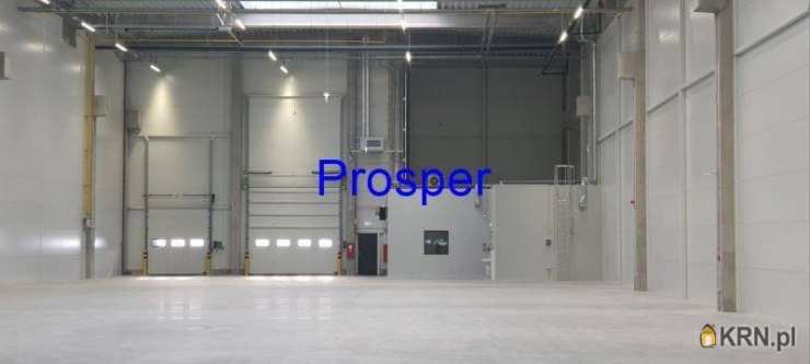 Lokal użytkowy  do wynajęcia, , Zabrze, ul. 