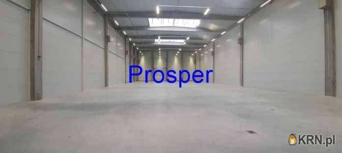 Zabrze, ul. , Lokal użytkowy  do wynajęcia, 