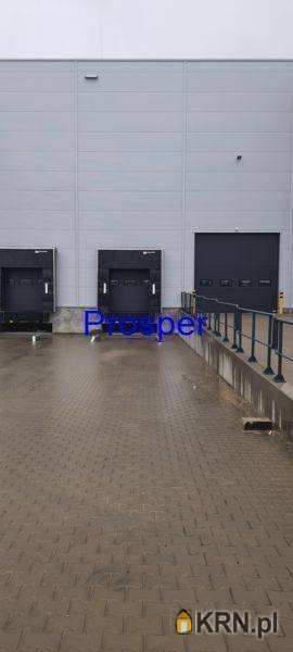 , Lokal użytkowy  do wynajęcia, Zabrze, ul. 