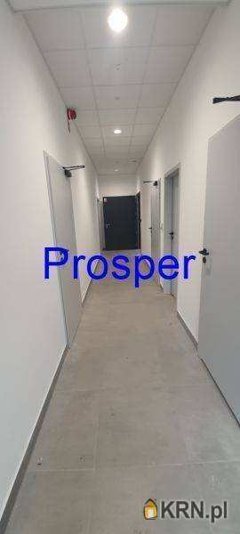 Lokal użytkowy  do wynajęcia, Zabrze, ul. , 