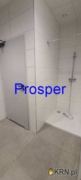 Zabrze, ul. , Lokal użytkowy  do wynajęcia, 