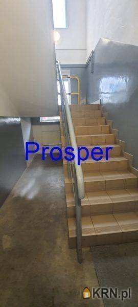 Katowice, ul. , Lokal użytkowy  do wynajęcia, 