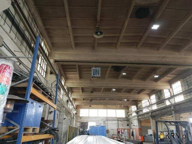 Lokal użytkowy  do wynajęcia, Gliwice, ul. , 10 pokojowe