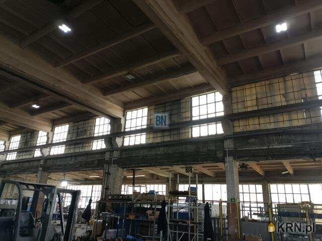 Lokal użytkowy  do wynajęcia, 10 pokojowe, Gliwice, ul. 