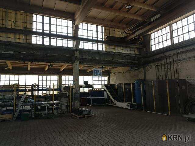 Gliwice, ul. , Lokal użytkowy  do wynajęcia, 10 pokojowe