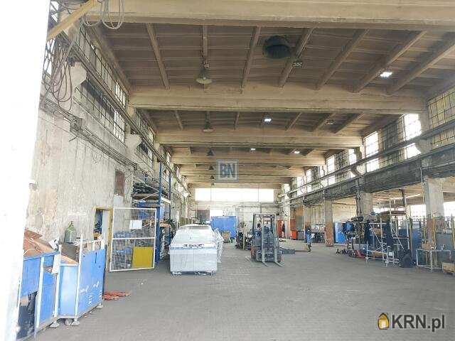 Gliwice, ul. , 10 pokojowe, Lokal użytkowy  do wynajęcia