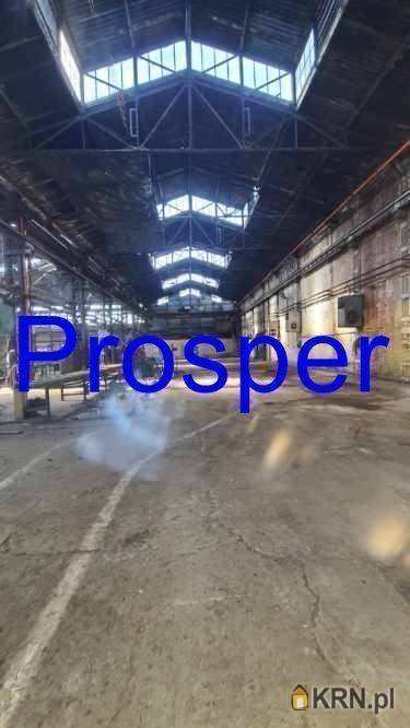 Lokal użytkowy  do wynajęcia, , Sosnowiec, ul. 