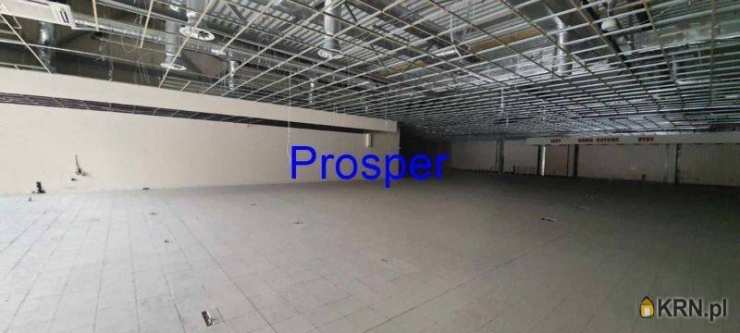 Lokal użytkowy  do wynajęcia, Ruda Śląska, ul. , 