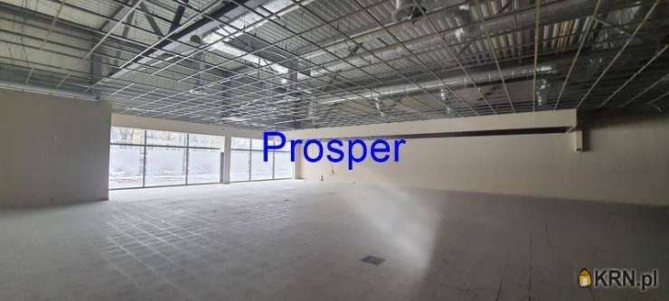 Lokal użytkowy  do wynajęcia, , Ruda Śląska, ul. 