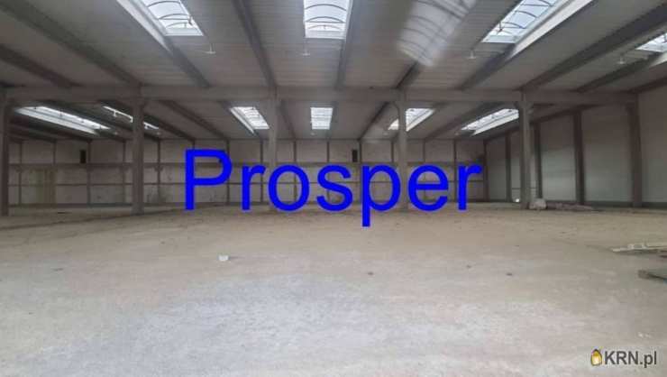 Lokal użytkowy  do wynajęcia, Gliwice, ul. , 