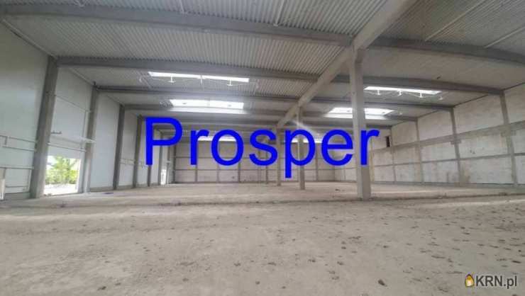 Lokal użytkowy  do wynajęcia, , Gliwice, ul. 