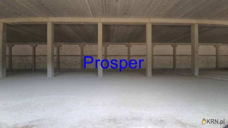 Gliwice, ul. , , Lokal użytkowy  do wynajęcia