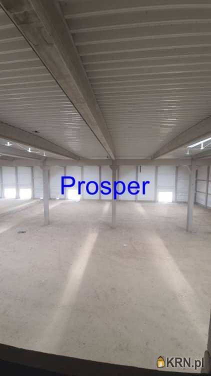 , Gliwice, ul. , Lokal użytkowy  do wynajęcia