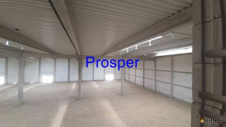 , Lokal użytkowy  do wynajęcia, Gliwice, ul. 