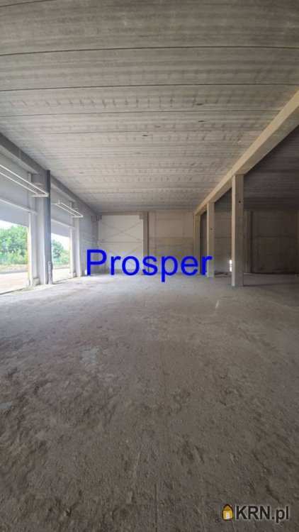 Prosper - Nieruchomości, Lokal użytkowy  do wynajęcia, Gliwice, ul. 