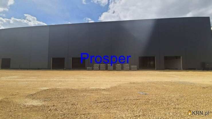 Lokal użytkowy  do wynajęcia, Gliwice, ul. , 