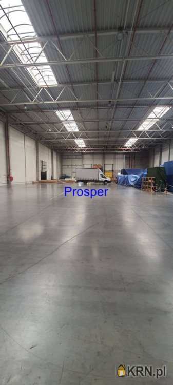 Lokal użytkowy  do wynajęcia, Gliwice, ul. , 