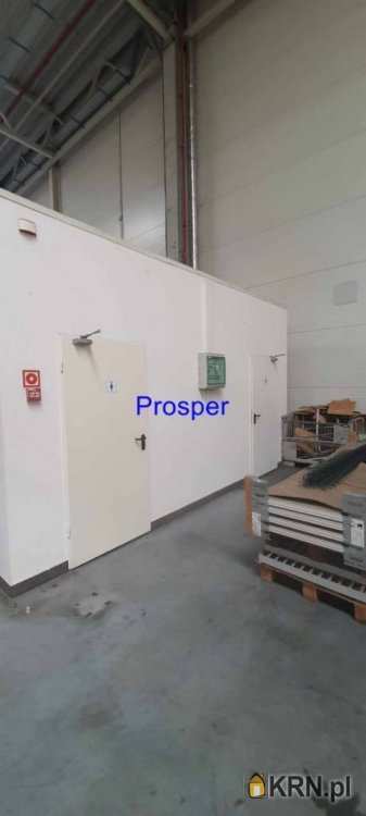 Gliwice, ul. , Lokal użytkowy  do wynajęcia, 