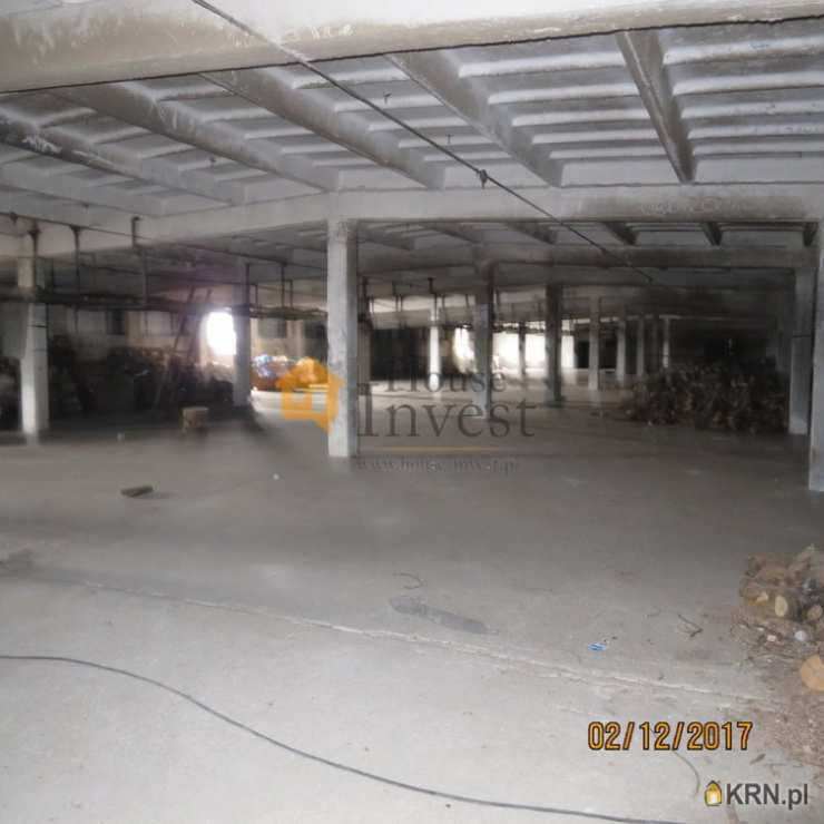 Lokal użytkowy  do wynajęcia, , Legnica, ul. 