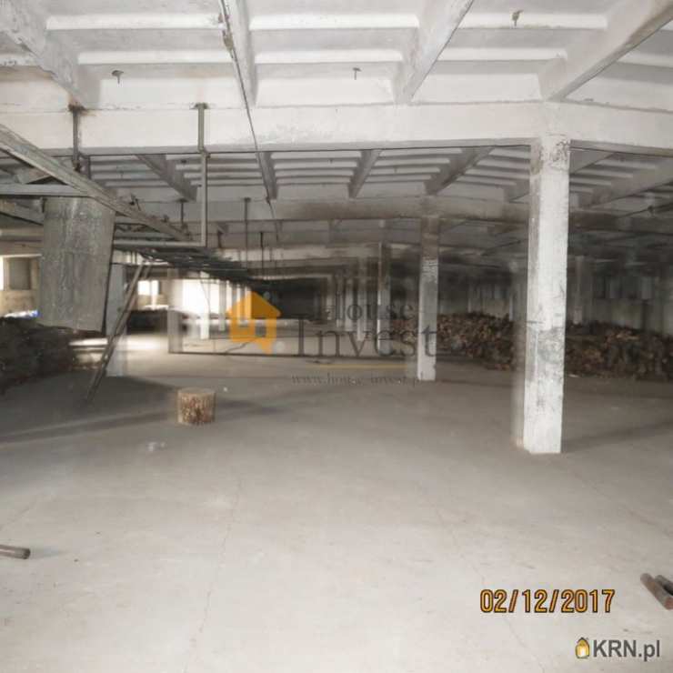 Legnica, ul. , Lokal użytkowy  do wynajęcia, 