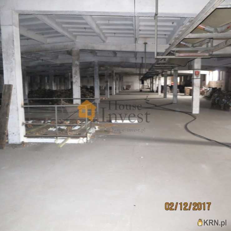 Legnica, ul. , , Lokal użytkowy  do wynajęcia