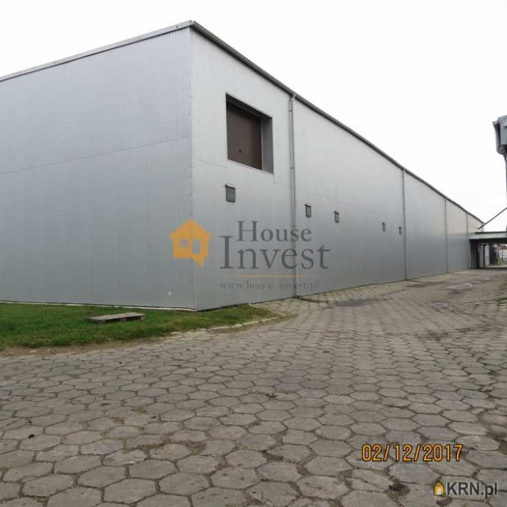 , Legnica, ul. , Lokal użytkowy  do wynajęcia