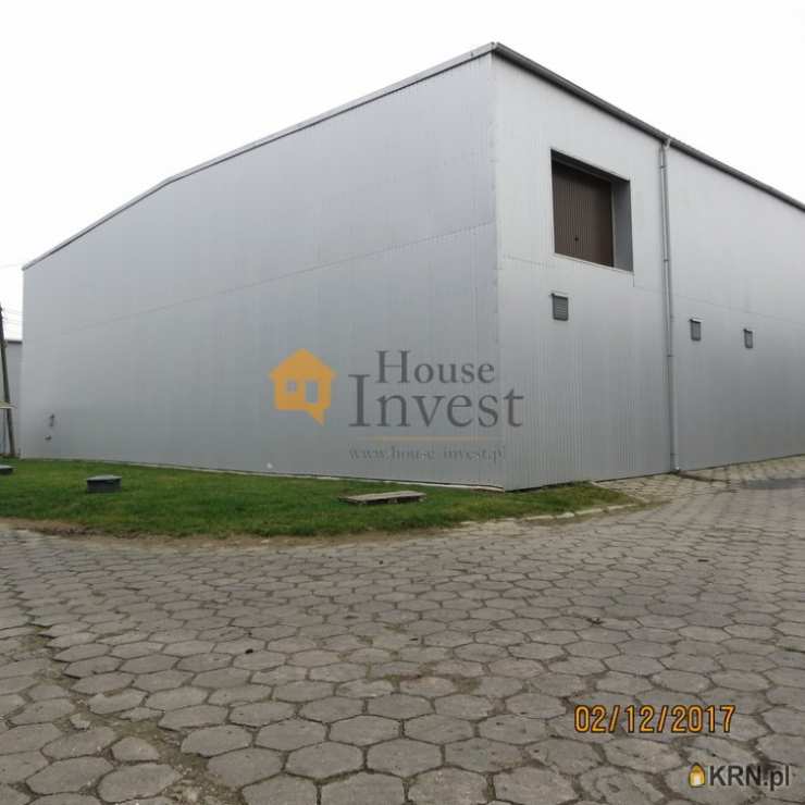 , Lokal użytkowy  do wynajęcia, Legnica, ul. 