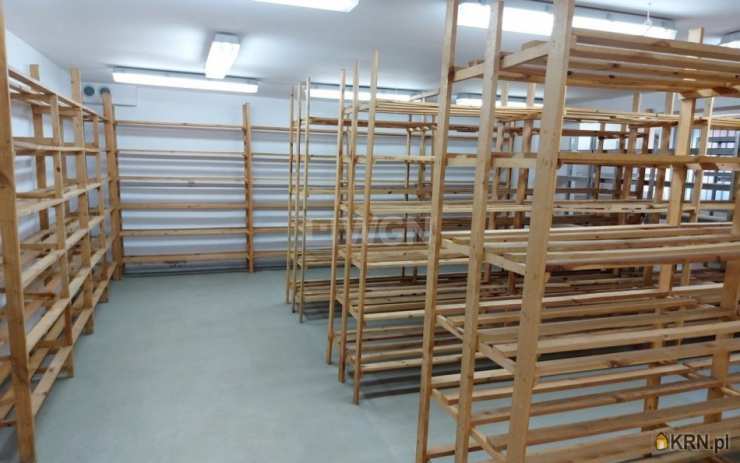 30 pokojowe, Lokal użytkowy  na sprzedaż, Legnica, ul. 