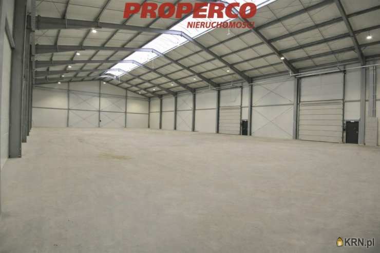 Lokal użytkowy  do wynajęcia, Rusiec, ul. , 