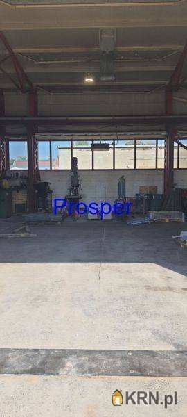 Zabrze, ul. , Lokal użytkowy  do wynajęcia, 