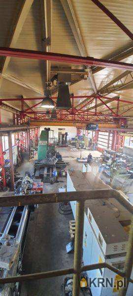 Prosper - Nieruchomości, Lokal użytkowy  do wynajęcia, Zabrze, ul. 