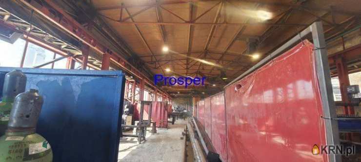 Zabrze, ul. , Lokal użytkowy  do wynajęcia, 