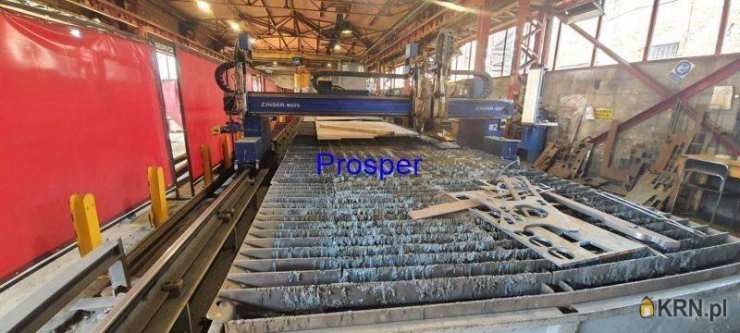 Zabrze, ul. , , Lokal użytkowy  do wynajęcia