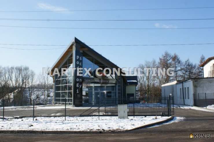 Lokal użytkowy  na sprzedaż, Wodzisław Śląski, ul. , 