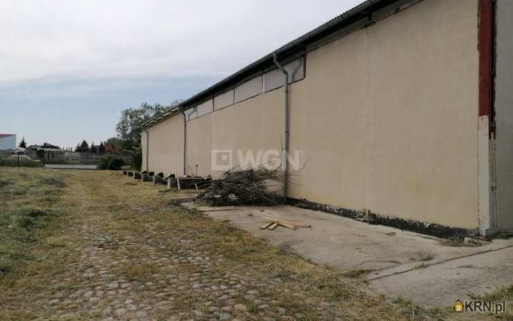 Lokal użytkowy  na sprzedaż, 5 pokojowe, Bytom Odrzański, ul. 