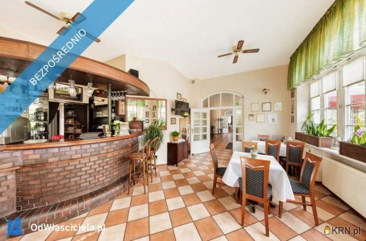 Plewiska, ul. Grunwaldzka, Lokal użytkowy  na sprzedaż, 30 pokojowe