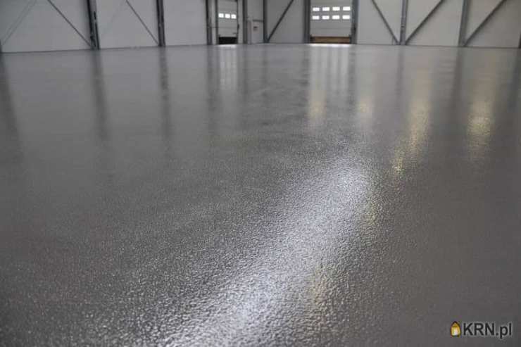 Lokal użytkowy  do wynajęcia, , Gliwice, ul. 